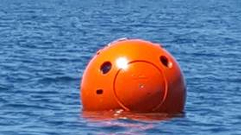 The orange round-shaped capsule in water